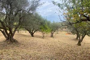 Terreno di 4500 m² a Carini