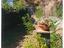 Immagine 22