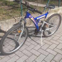 Bicicletta mountain bike