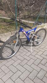 Bicicletta mountain bike