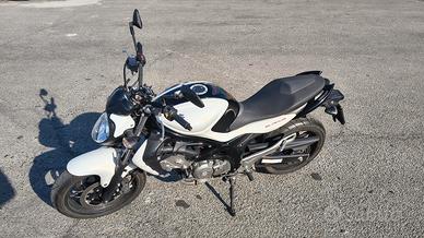 Suzuki Gladius 650 SFV