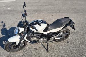 Suzuki Gladius 650 SFV