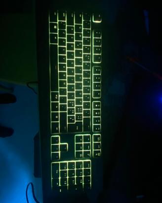 Tastiera razer ormata