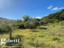 terreno-agricolo-gioiosa-marea-n-719vrg-