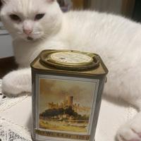 Scatola di latta rara  tea Darvilles of Windsor.