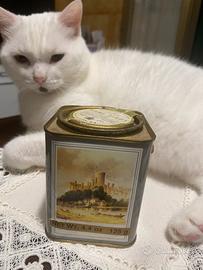 Scatola di latta rara  tea Darvilles of Windsor.