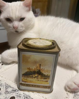 Scatola di latta rara  tea Darvilles of Windsor.