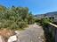 Immagine 23