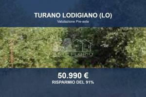 Immobile in asta di 28396 m² a Turano Lodigiano