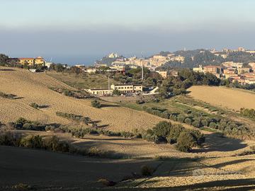 Trilocale zona Pinocchio