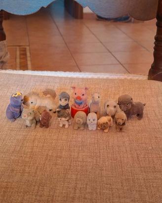 Cuccioli cerc amici