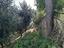 Immagine 9