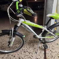 bici Bottecchia 20 pollici 