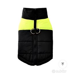 Giacca nuova per cani o gatti impermeabile 