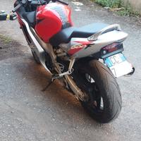 Honda CBR 600 - 2003
