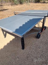 Tavolo da Ping Pong
