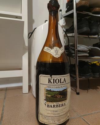 Vino Barbera d'Alba