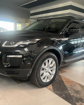 LAND ROVER RR Evoque 2.0 TD4 150 CV 5p. Bs Ed. SE