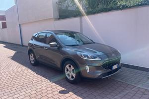 Ford Kuga 1.5 EcoBlue 120 CV 2WD Titanium