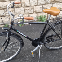 Bici falaschi uomo n 28