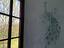 Immagine 12