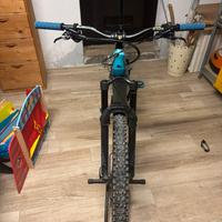 Canyon spectral ON CF7 anno 2021 taglia L