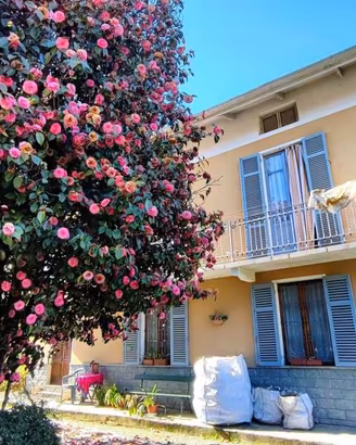 Villa di 180 m² con 5 locali e box auto a Ronco Bi