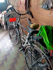 Biciclette  singole o in blocco