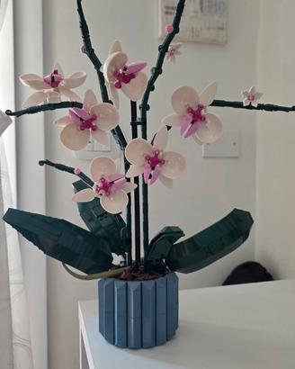  set LEGO Botanicals Orchidea (10311)
