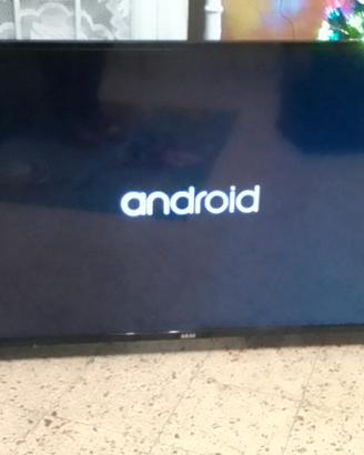TV 32 pollici Akai schermo piatto no smart
