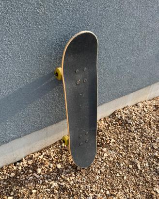 skate tony hawk