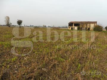 Terreno Agricolo Agugliaro [Cod. rif 3315643VCG]