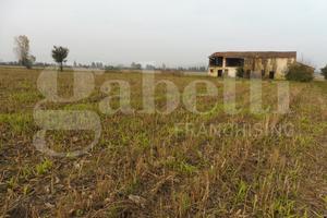 Terreno Agricolo Agugliaro [Cod. rif 3315643VCG]