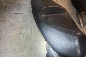 Sella Piaggio Carnaby 250