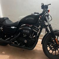 Harley Davidson Sportster Iron 883