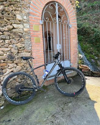 mtb bottecchia aquila rossa 29-telaio carbon