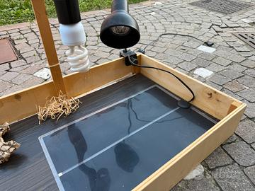 Terrario per rettili