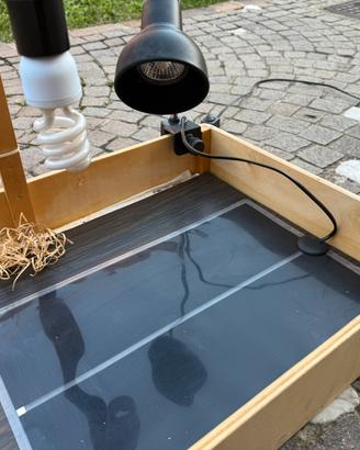 Terrario per rettili