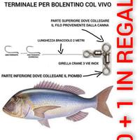 Terminale bolentino col vivo 2 ami scorrevole