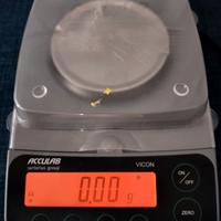 Bilancia Sartorius Acculab 