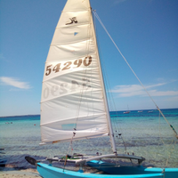 Hobie cat 16 catamarano