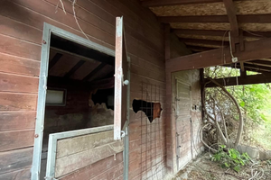 Stalla e fienile a Imperia da smontare