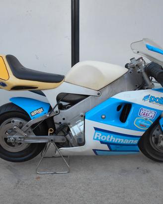 minimoto polini 910 dreambike