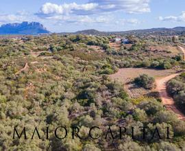 Terreno Agricolo - Olbia