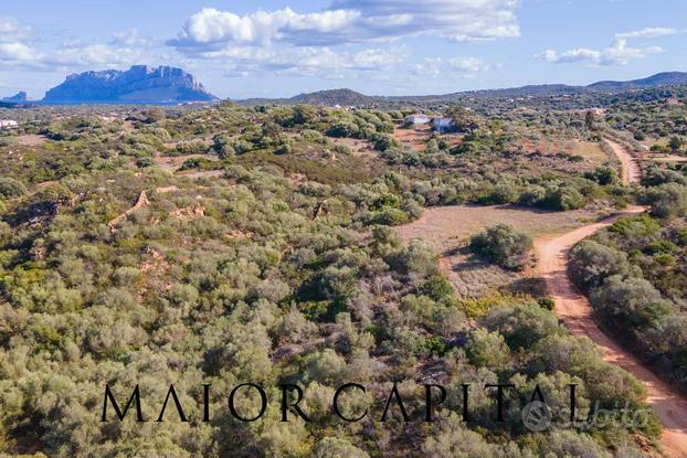 Terreno Agricolo - Olbia