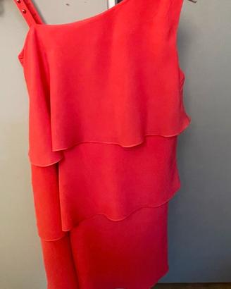 Vestina Chloe'  x bimba