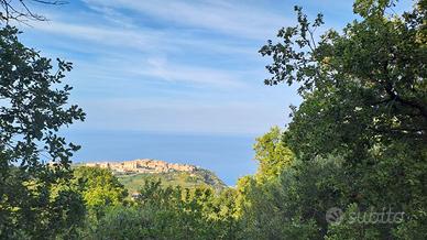 Stanze in casale eco-friendly - Fiumefreddo Bruzio