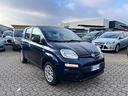 fiat-panda-1-2-connected-by-wind