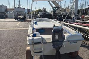 Motore fuoribordo johnson 25 hp
