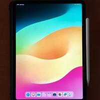 iPad Pro 2018 11" 256 LTE + Accessori 